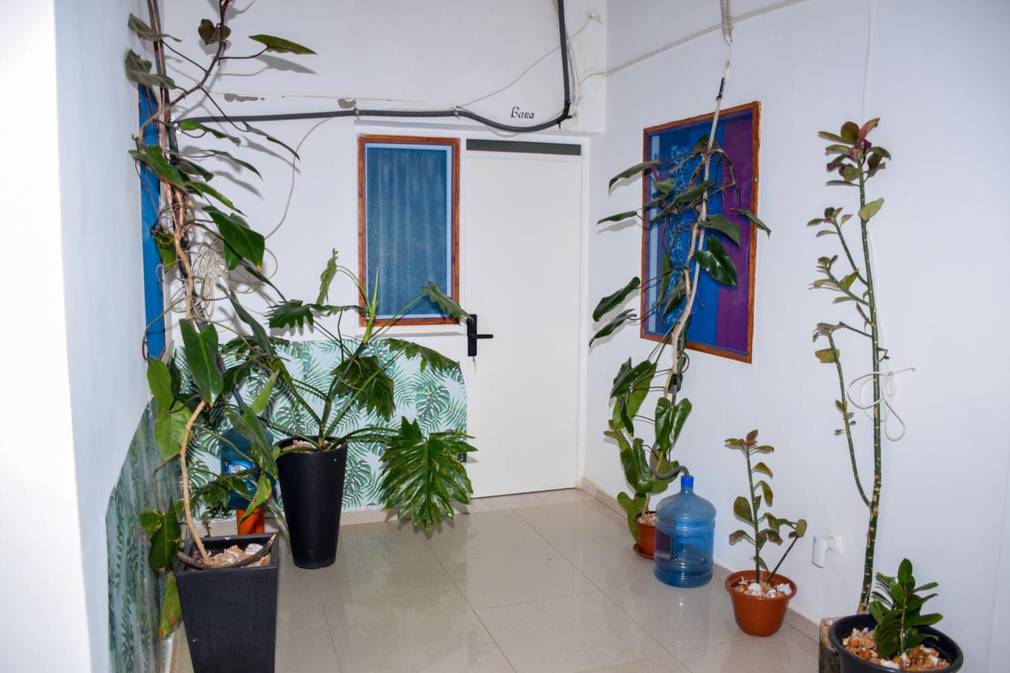 Boutique Hotel Principal ,Tarrafal Tarrafal  Luaran gambar